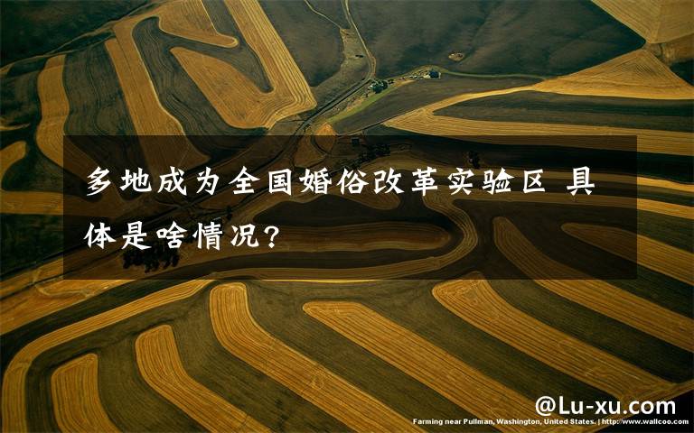 多地成为全国婚俗改革实验区 具体是啥情况?