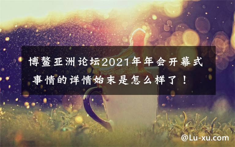 博鳌亚洲论坛2021年年会开幕式 事情的详情始末是怎么样了！