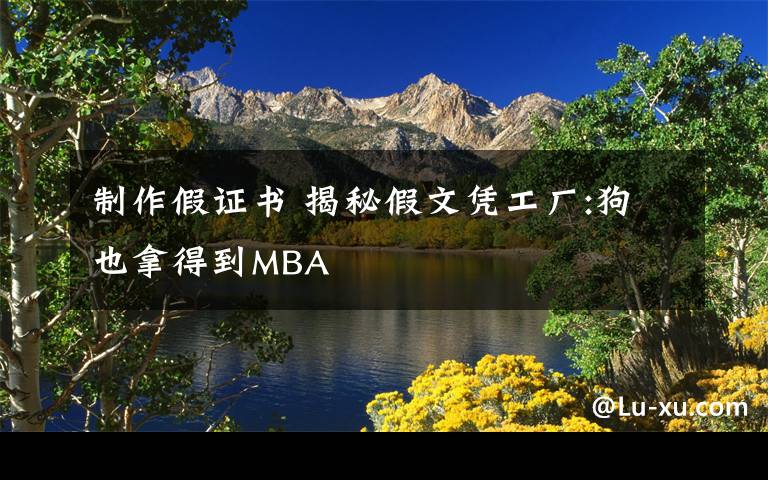 制作假证书 揭秘假文凭工厂:狗也拿得到MBA