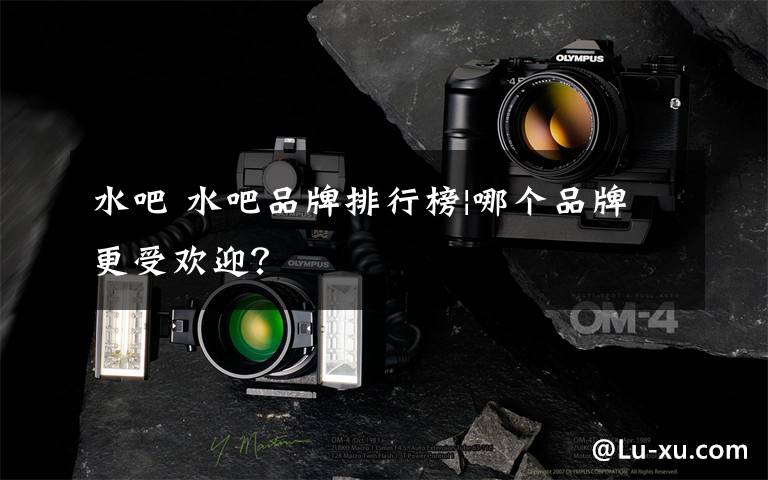 水吧 水吧品牌排行榜|哪个品牌更受欢迎?