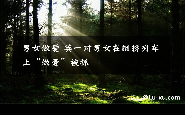 男女做爱 英一对男女在拥挤列车上“做爱”被抓