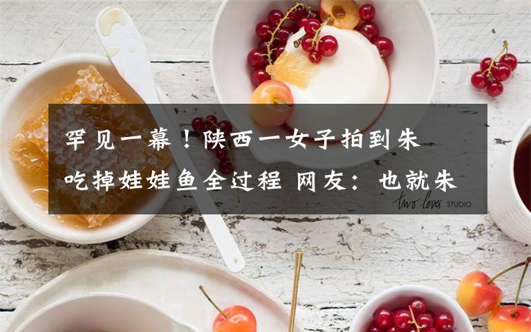 罕见一幕！陕西一女子拍到朱鹮吃掉娃娃鱼全过程 网友：也就朱鹮敢