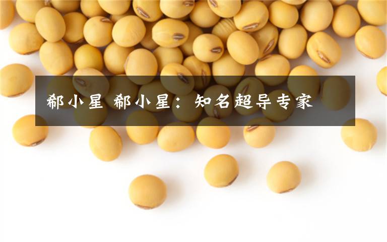 郗小星 郗小星：知名超导专家