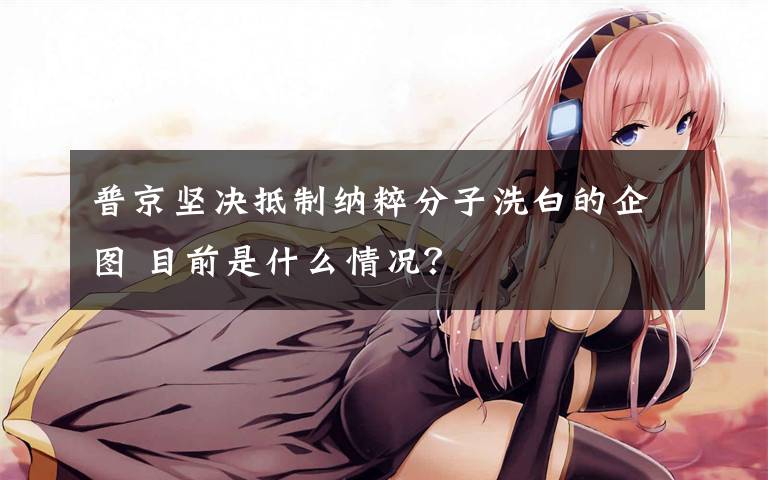 普京坚决抵制纳粹分子洗白的企图 目前是什么情况?