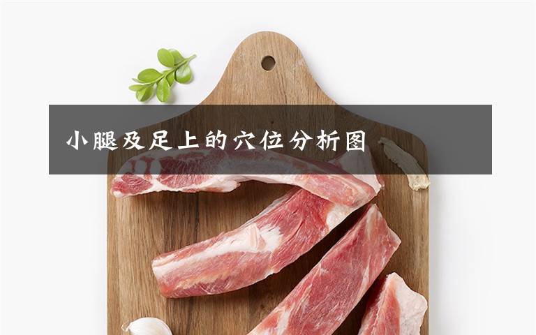 小腿及足上的穴位分析图