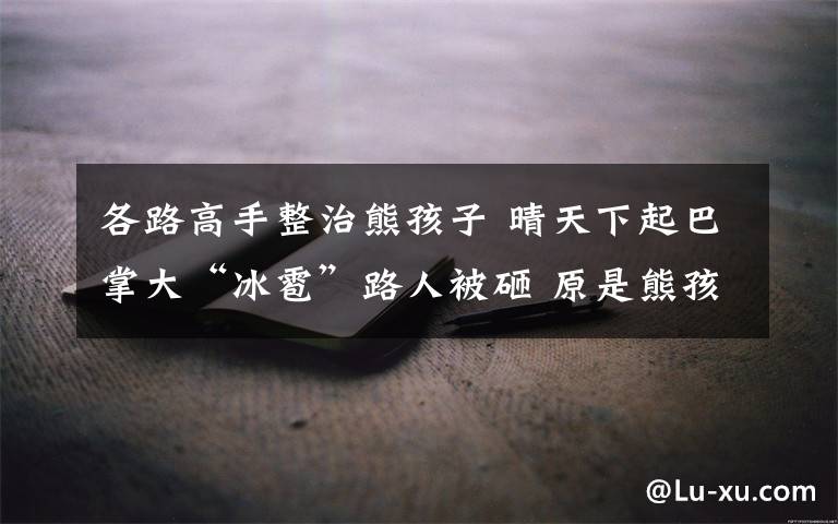 各路高手整治熊孩子 晴天下起巴掌大“冰雹”路人被砸 原是熊孩子在是十楼练“投弹”