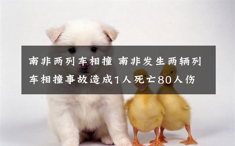 南非两列车相撞 南非发生两辆列车相撞事故造成1人死亡80人伤