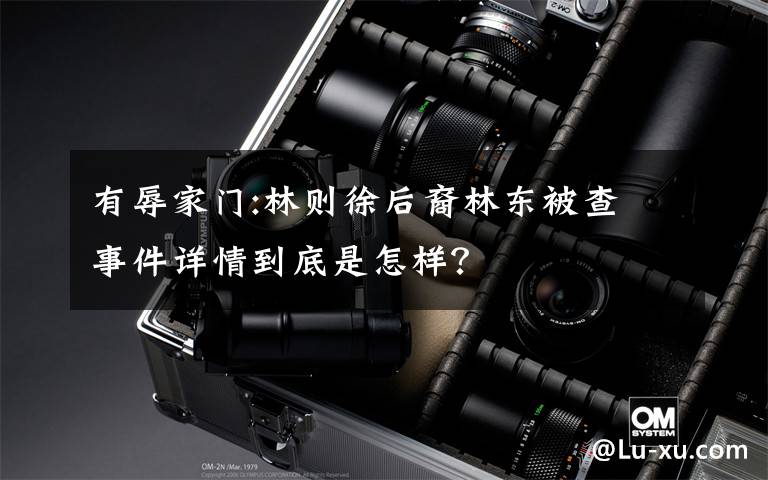 有辱家门:林则徐后裔林东被查 事件详情到底是怎样？