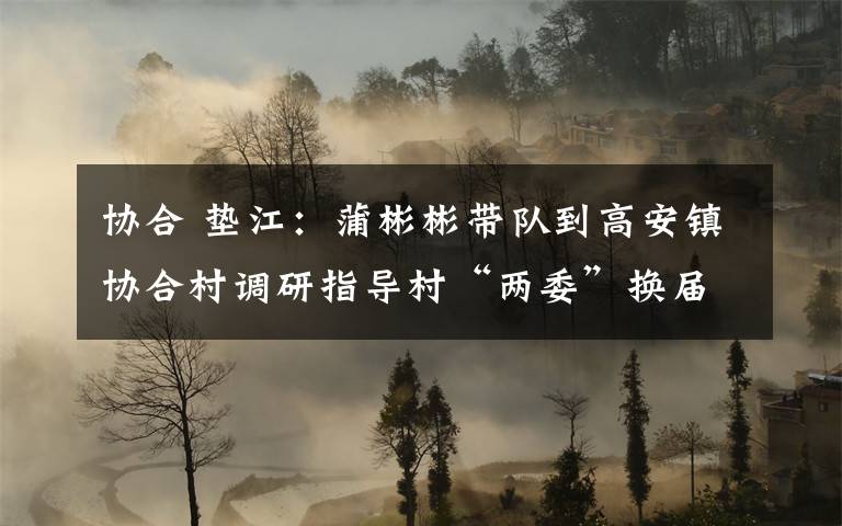 协合 垫江:蒲彬彬带队到高安镇协合村调研指导村“两委”换届工作