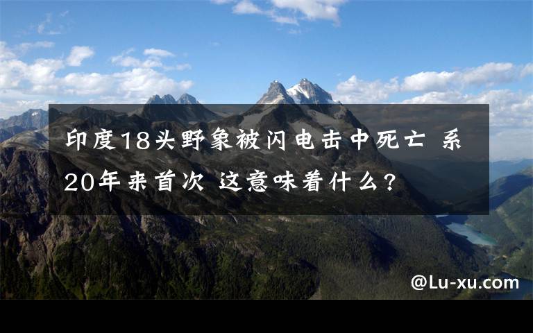 印度18头野象被闪电击中死亡 系20年来首次 这意味着什么?