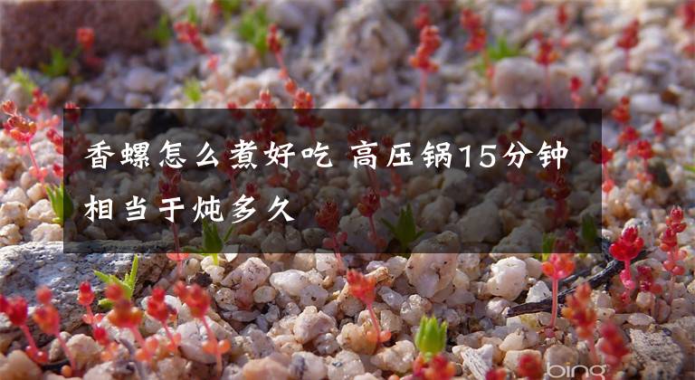 香螺怎么煮好吃 高压锅15分钟相当于炖多久