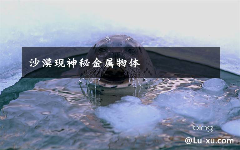 沙漠现神秘金属物体