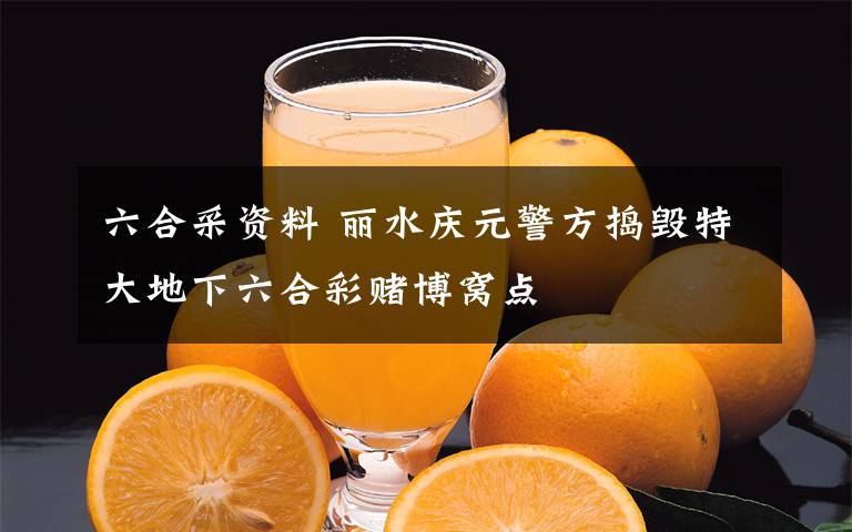 六合采资料 丽水庆元警方捣毁特大地下六合彩赌博窝点