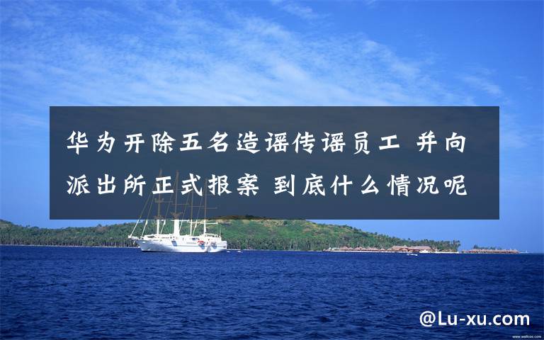 华为开除五名造谣传谣员工 并向派出所正式报案 到底什么情况呢？