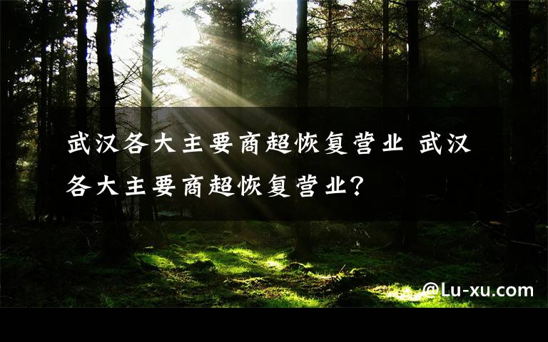 武汉各大主要商超恢复营业 武汉各大主要商超恢复营业?