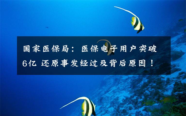 国家医保局:医保电子用户突破6亿 还原事发经过及背后原因!