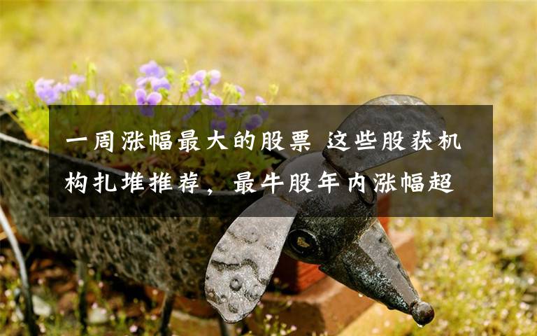 一周涨幅最大的股票 这些股获机构扎堆推荐，最牛股年内涨幅超100%