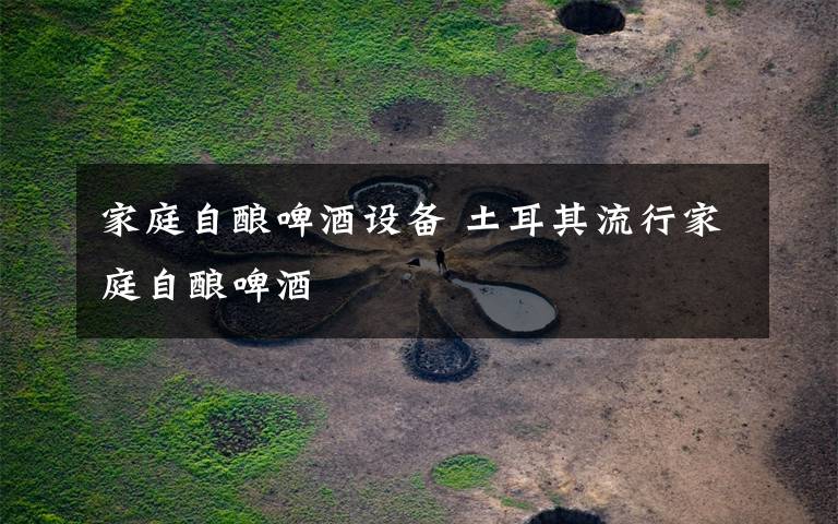 家庭自酿啤酒设备 土耳其流行家庭自酿啤酒