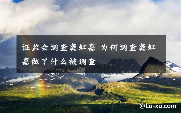 证监会调查龚虹嘉 为何调查龚虹嘉做了什么被调查