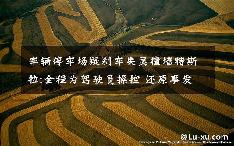 车辆停车场疑刹车失灵撞墙特斯拉:全程为驾驶员操控 还原事发经过及背后真相!