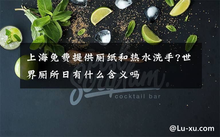 上海免费提供厕纸和热水洗手?世界厕所日有什么含义吗