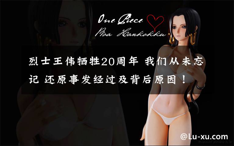 烈士王伟牺牲20周年 我们从未忘记 还原事发经过及背后原因!