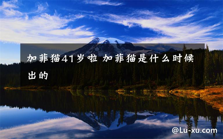 加菲猫41岁啦 加菲猫是什么时候出的