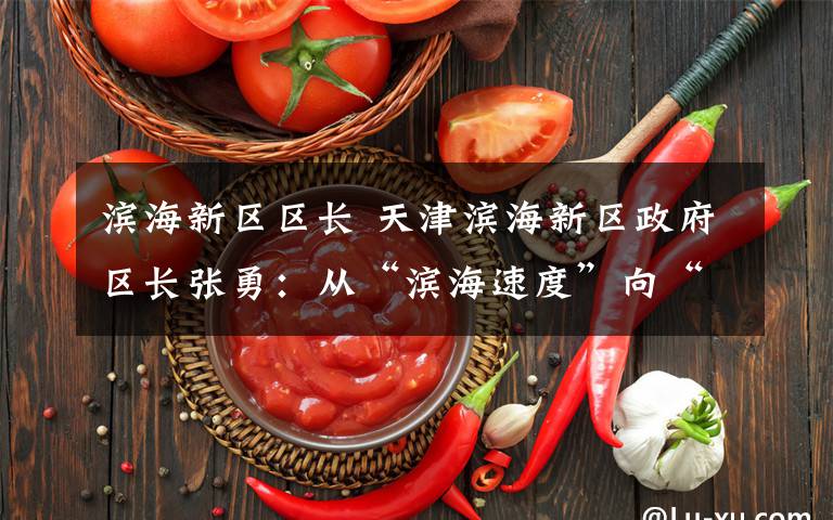 滨海新区区长 天津滨海新区政府区长张勇:从“滨海速度”向“滨海效益”转型