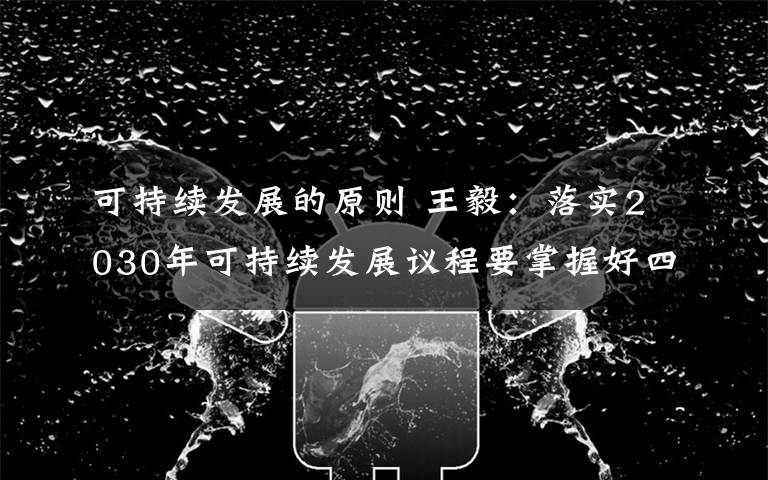 可持续发展的原则 王毅:落实2030年可持续发展议程要掌握好四个原则