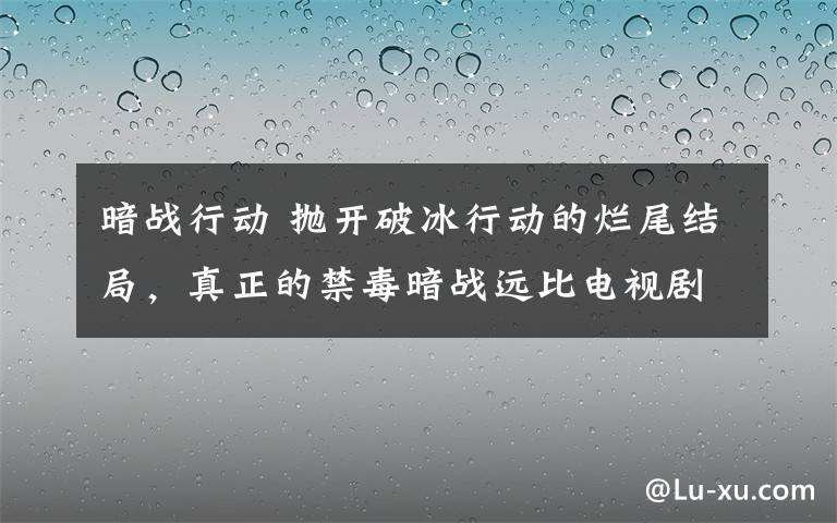 暗战行动 抛开破冰行动的烂尾结局,真正的禁毒暗战远比电视剧冷酷