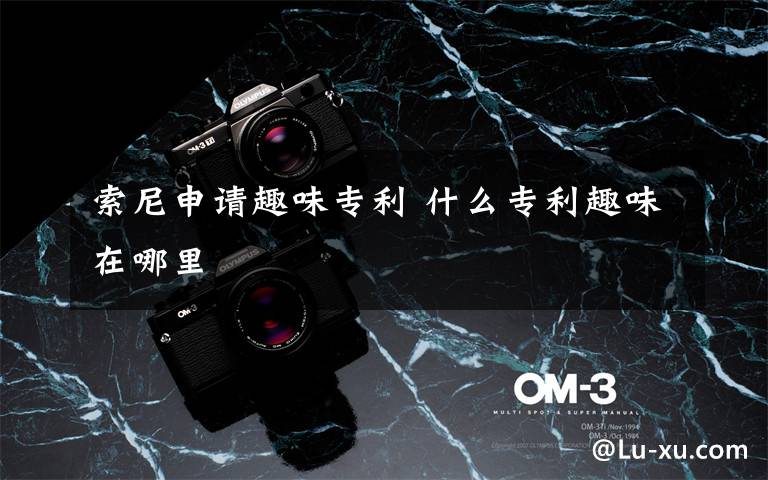 索尼申请趣味专利 什么专利趣味在哪里