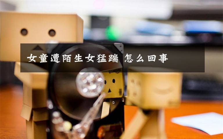 女童遭陌生女猛踹 怎么回事