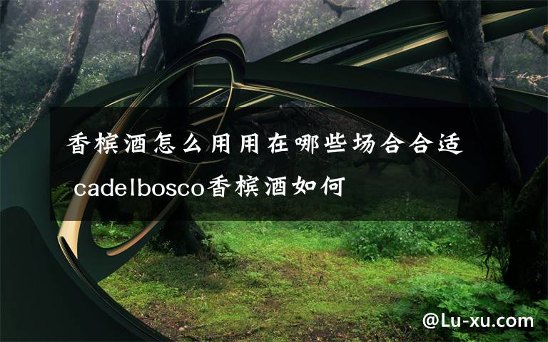 香槟酒怎么用用在哪些场合合适 cadelbosco香槟酒如何