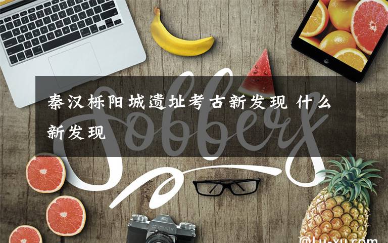 秦汉栎阳城遗址考古新发现 什么新发现