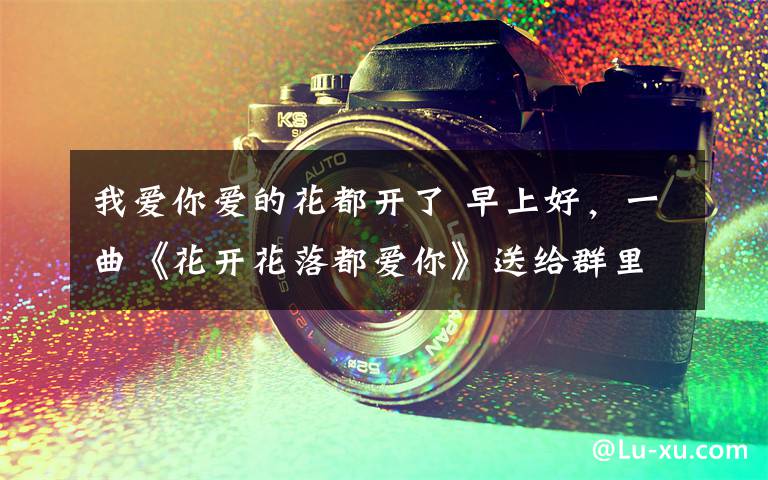 我爱你爱的花都开了 早上好,一曲《花开花落都爱你》送给群里的朋友!太美了~