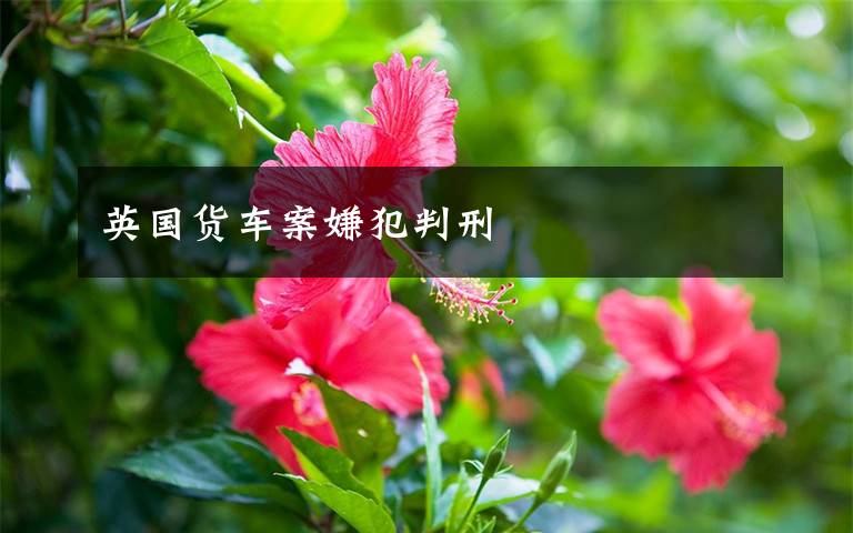 英国货车案嫌犯判刑