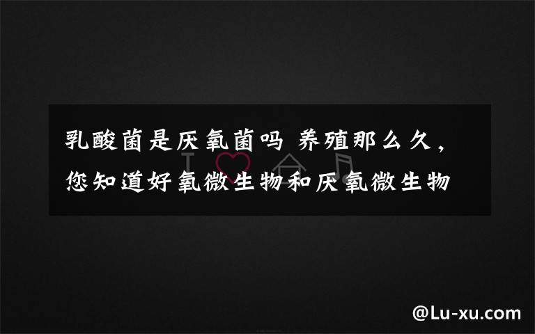 乳酸菌是厌氧菌吗 养殖那么久,您知道好氧微生物和厌氧微生物吗?