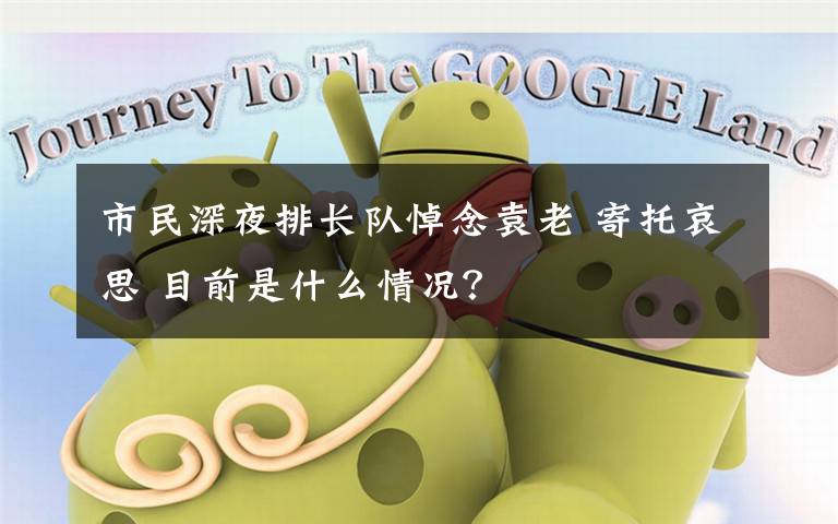 市民深夜排长队悼念袁老 寄托哀思 目前是什么情况?