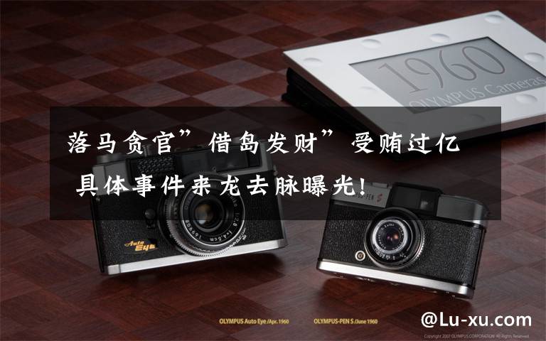 落马贪官”借岛发财”受贿过亿 具体事件来龙去脉曝光!