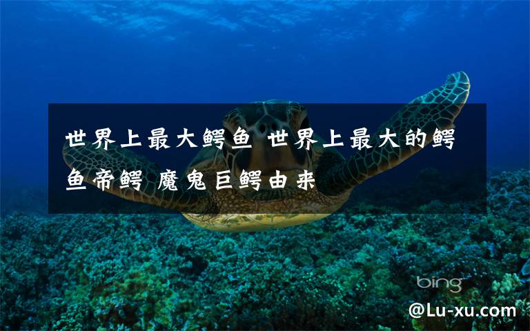 世界上最大鳄鱼 世界上最大的鳄鱼帝鳄 魔鬼巨鳄由来