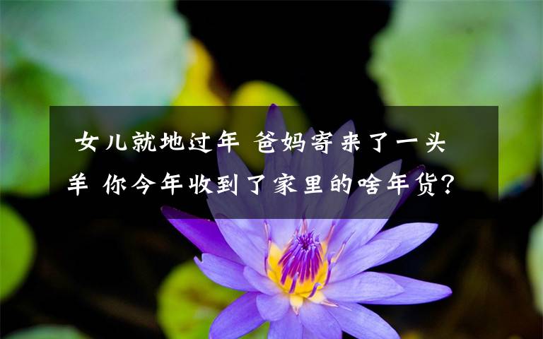 女儿就地过年 爸妈寄来了一头羊 你今年收到了家里的啥年货?