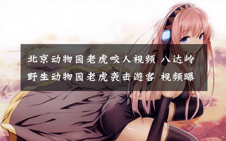 北京动物园老虎咬人视频 八达岭野生动物园老虎袭击游客 视频曝光画面惊悚令人震惊