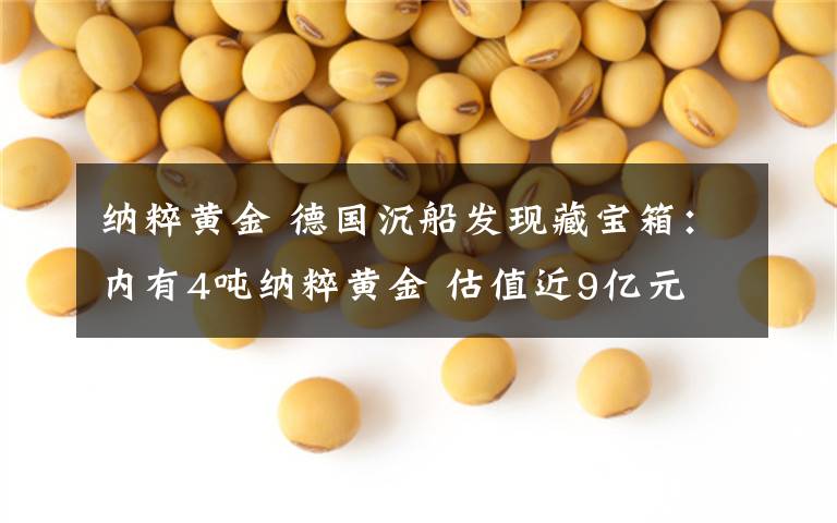 纳粹黄金 德国沉船发现藏宝箱：内有4吨纳粹黄金 估值近9亿元
