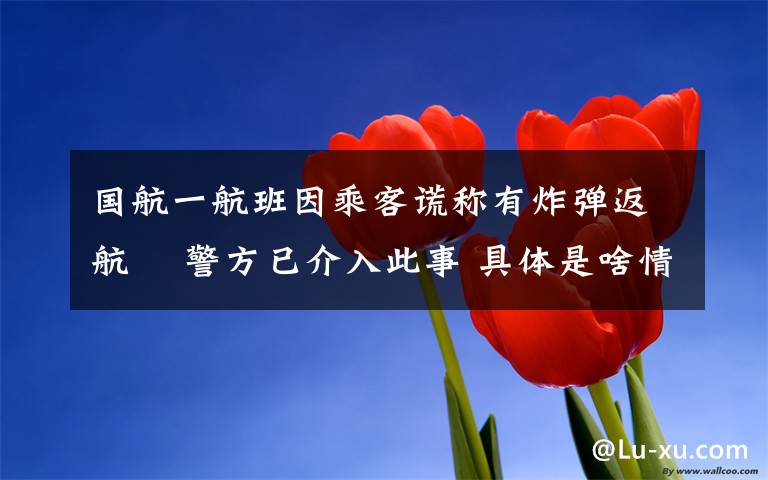 国航一航班因乘客谎称有炸弹返航  警方已介入此事 具体是啥情况?