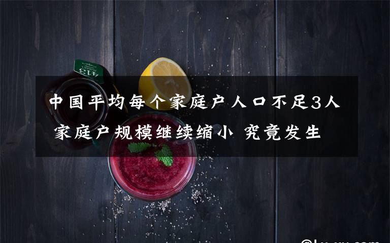 中国平均每个家庭户人口不足3人 家庭户规模继续缩小 究竟发生了什么?