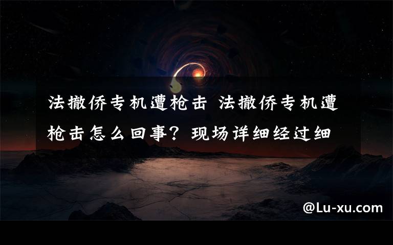 法撤侨专机遭枪击 法撤侨专机遭枪击怎么回事？现场详细经过细节曝光开枪者是谁