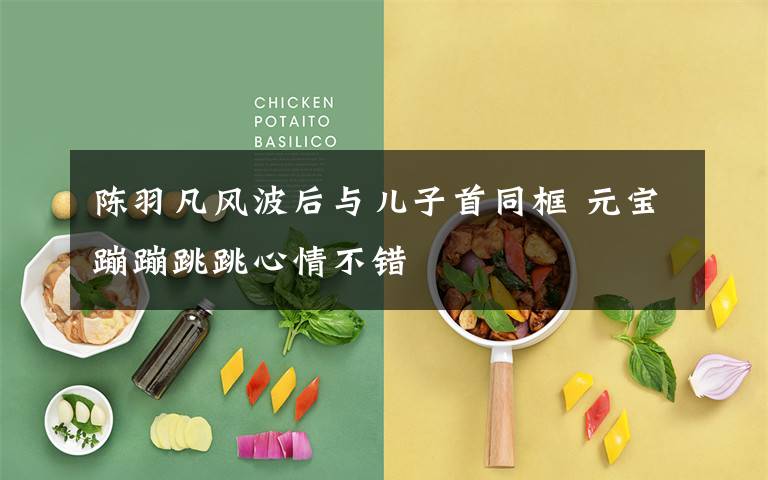 陈羽凡风波后与儿子首同框 元宝蹦蹦跳跳心情不错