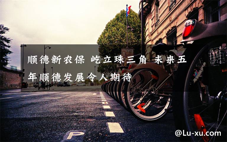 顺德新农保 屹立珠三角 未来五年顺德发展令人期待