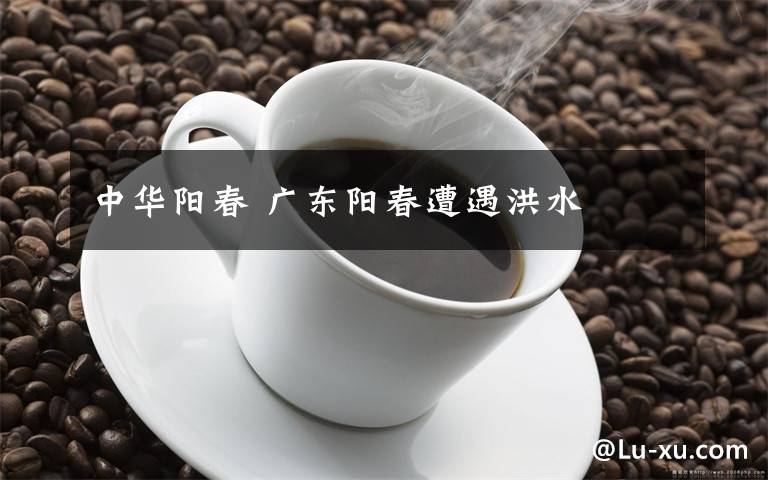 中华阳春 广东阳春遭遇洪水