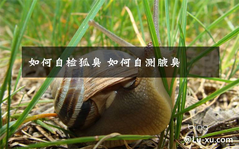 如何自检狐臭 如何自测腋臭